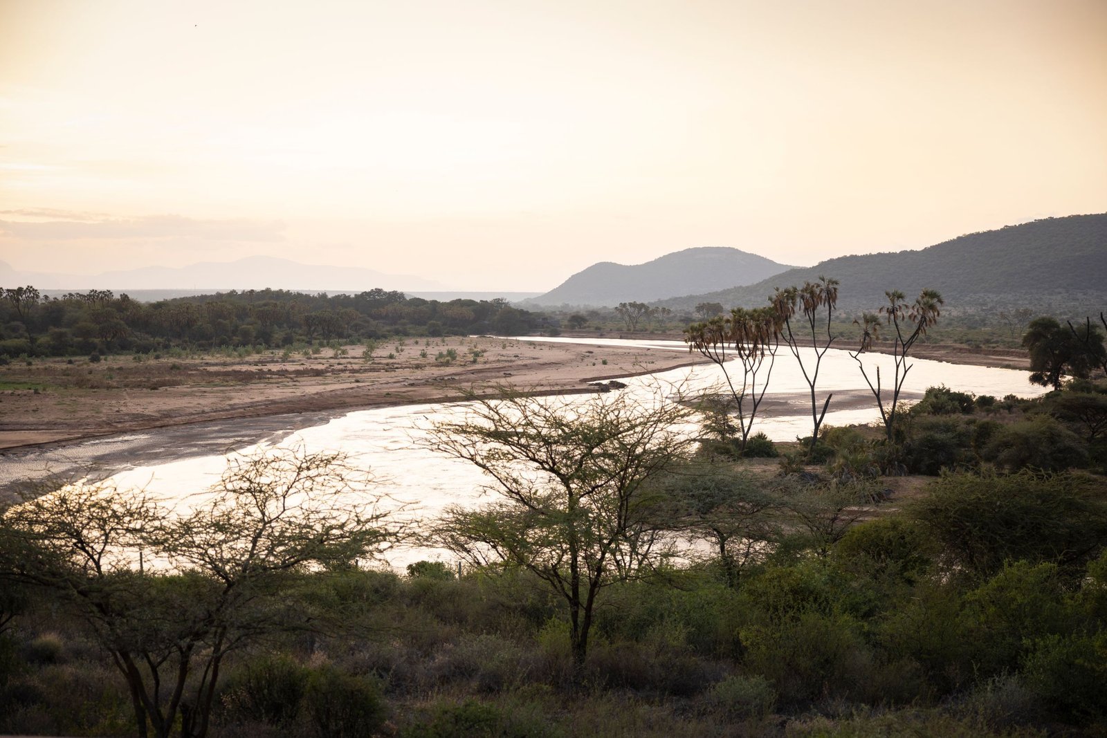 Buffalo Springs wildlife